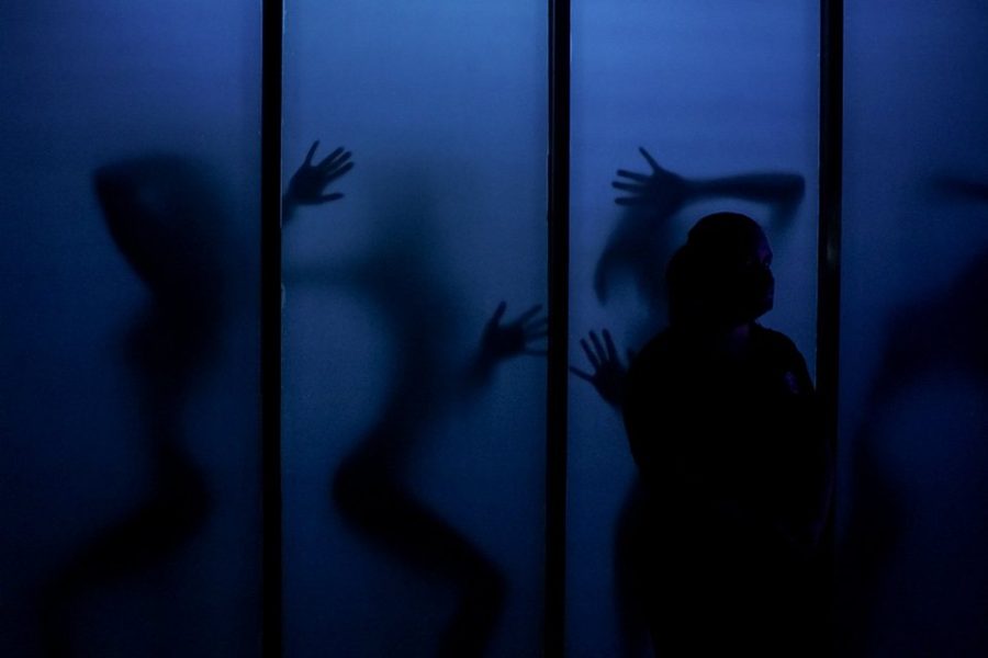 Silhouettes of dancers pressed against backlit frosted glass panels at Hotel for Play